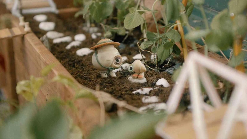 نقد و بررسی فیلم Marcel the shell with shoes on 2021| مارسل صدف کفش به پا